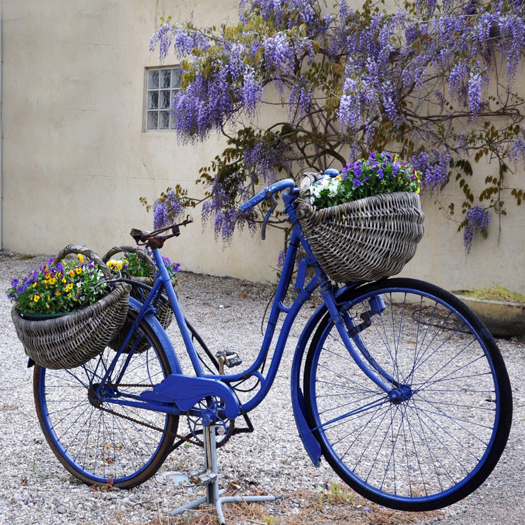 Fleur De Lis Living Blue Bike Outdoor Wall Decor & Reviews | Wayfair